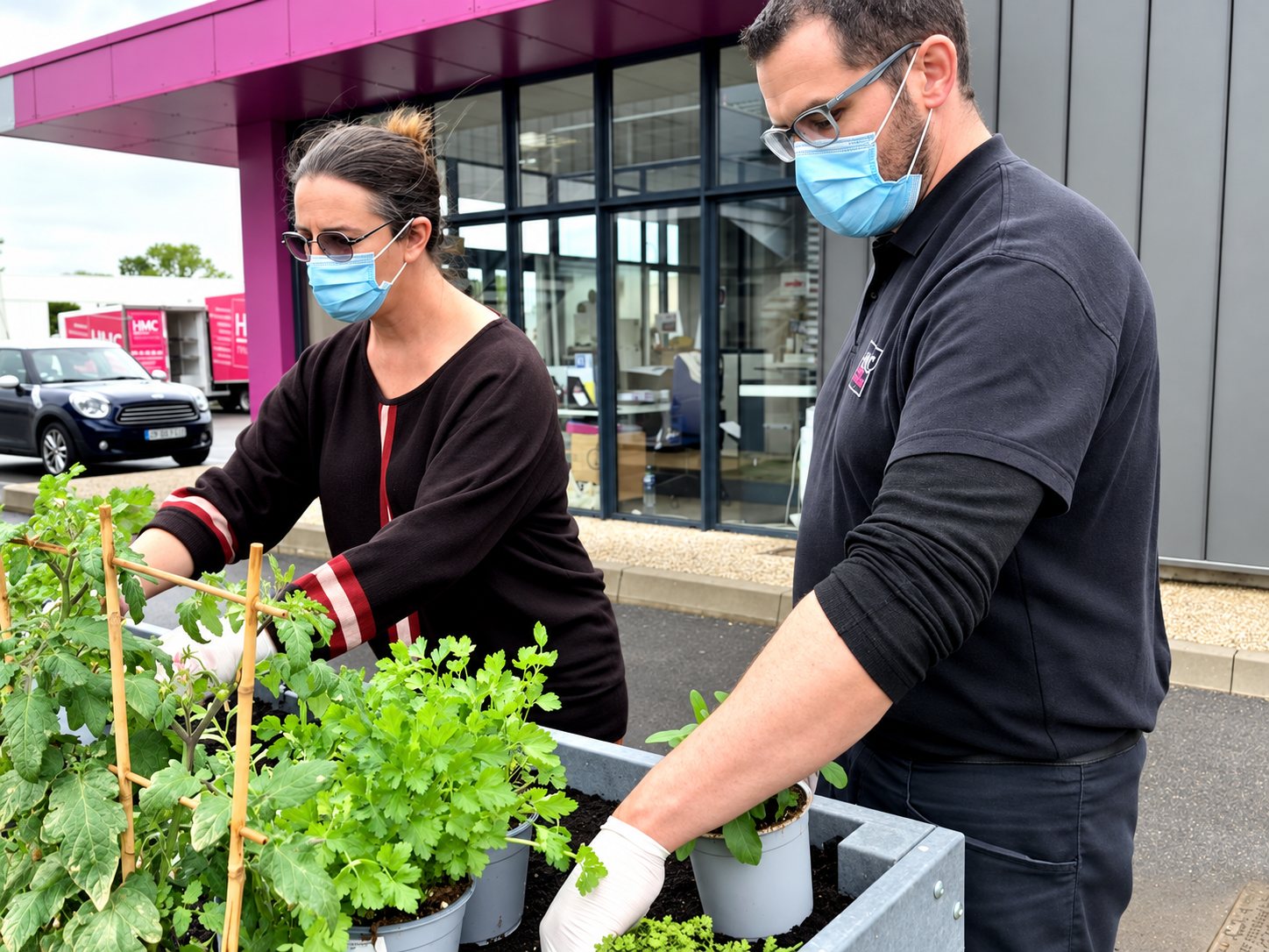 Un homme et une femme portant des masques chirurgicaux plantent des herbes aromatiques et des tomates dans un grand bac devant un bâtiment moderne, avec un camion rose et une voiture à l'arrière-plan.